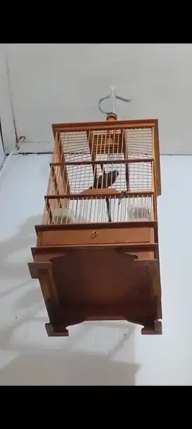 Jual burung tepus gacor ex masteran dh vur rotal. 450 nego