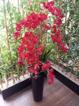 DIJUAL MURAH Bunga Anggrek Merah