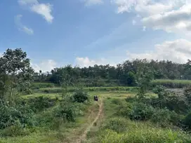 Tanah Strategis di Wagir Malang – Cocok Hunian atau Investasi