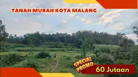Tanah Dijual Wagir Malang – Lingkungan Nyaman, Harga Terjangkau