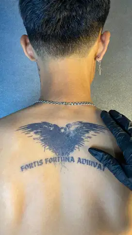 CARI CEPAT MODEL TATO TEMPORER