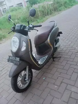 Scoopy Kaylles Thun 2020 terawat
