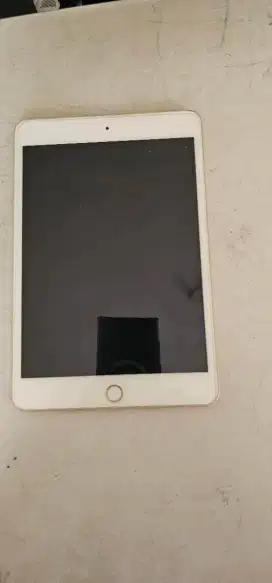 Ipad mini 4 128gb wifi only mulus