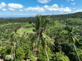 Tanah Murah Los Sungai View Sawah Berambang Jembrana Bali