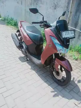 Lexi 125 Kaylles Thun 2019 terawat