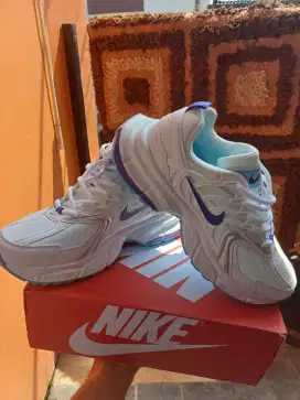 Sepatu Nike Skate