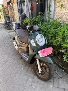 Scoopy hijau dop 2023
