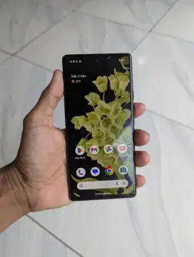 Google pixel 6 8/128gb hp only