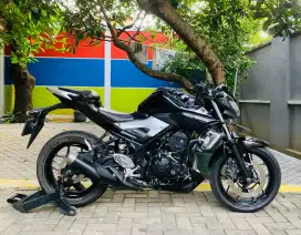 Yamaha mt25 2016
