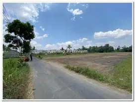 5 Menit UII, Suasana Tenang, View Sawah dan Merapi
