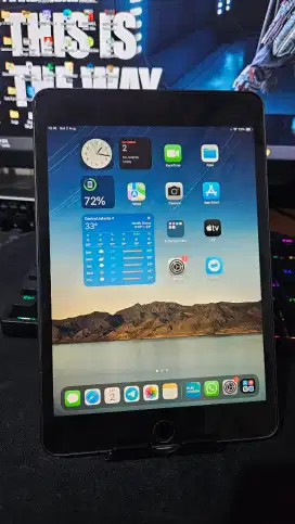iPad mini 5 64GB Mulusss