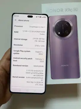 HUAWEI HONOR X9C 5G