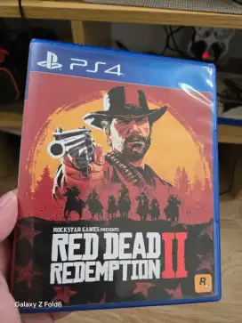 BD red dead redemption 2