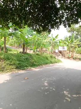 Di Jual Tanah Lokasi Strategis Pinggir Jalan Di Sukamakmur