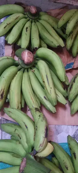 PISANG AMBON SUPER