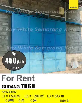 DISEWAKAN GUDANG DI TUGU A4425