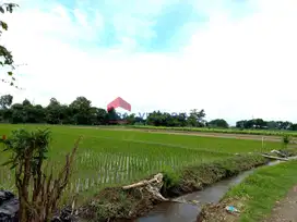 Sewa Tanah 7696 m2 Kawasan Gurah 15 Menit dari Simpang Lima Gumul