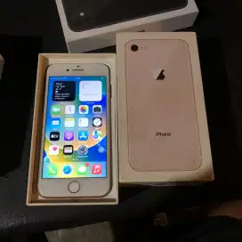 iPhone 8 64Gb WiFi only