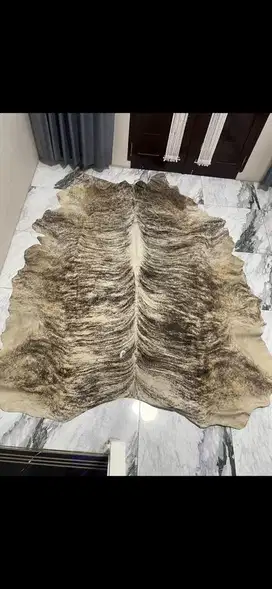 Karpet bulu sapi asli