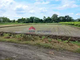 Tanah Jual di Gurah Kab Kediri 20 Menit Ke Kota Kediri