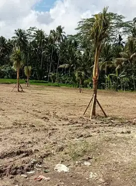 *TEREKSKLUSIF 20 MENIT-AN DARI SENTRAL UBUD*