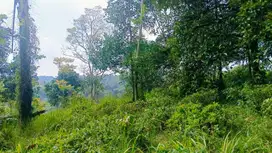 Dijual Murah Tanah Kebun 900 m2 Dekat Pasar Bojong Purwakarta