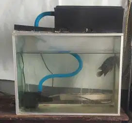 Aquarium 40cmx20cm