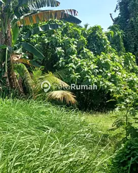 DIJUAL TANAH KOMPLEK JOHOR PERMAI MELINJO - DAERAH JOHOR (WANDYAGO)