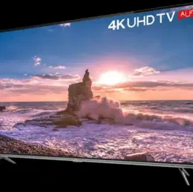 TV TCL ANDROID TV 55 INCH
