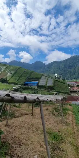 Tanah pemandangan sangat indah area tawangmangu karanganyar 1jt/meter