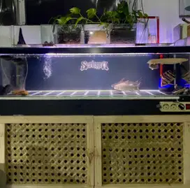 Aquarium 1,2 meter