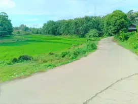 Kavling 900 Rb-an/m2, Dekat Akses Tol Japek 2 Selatan