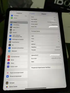Ipad 10 256GB Wifi only iBox Fullset
