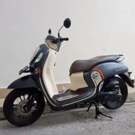 HONDA SCOOPY SPORTY TAHUN 2021 CASH / KREDIT MURAH DP MULAI 500 RB
