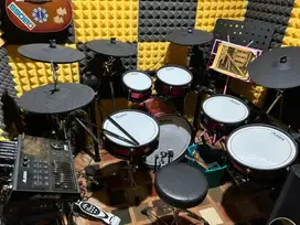 Alesis Strike Pro