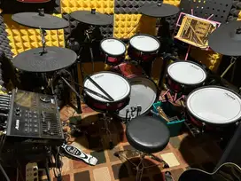 Alesis Strike Pro