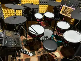 Alesis Strike Pro