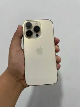 iphone 14 pro 1tb gold beacukai