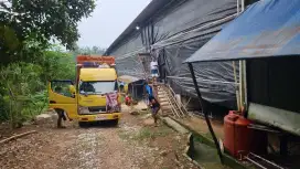 Tanah Peternakan Ayam 2 Ha Jual Murah Kapasitas 60 rb  Close  Hous3
