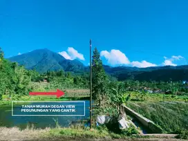 TANAH MURAH VIEW GUNUNG DAN KOTA BOGOR