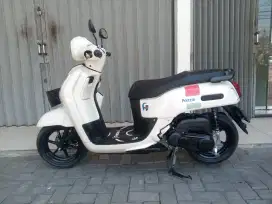 Fazzio 2023 plat H