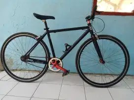 Sepeda fixie EG BIKE alloy