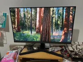 Monitor Samsung S24D300 24” IPS 100Hz – Bekas Pribadi