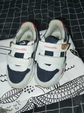 Crocodile sepatu anak