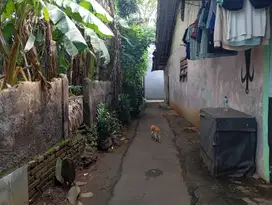 Tanah Kavling Murah Di Jakarta Dekat Jalan Raya Krukut Free SHM