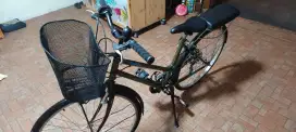 Sepeda Polygon Shimano