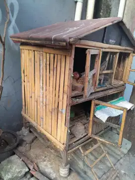 Kandang ayam bambu ada 3 pintu