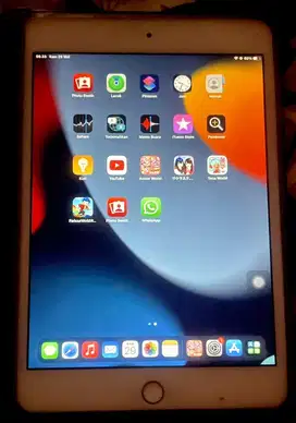 ipad mini 4 gold wifi only