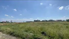 Tanah View Sawah 350m ke Pantai Kedungu Tabanan
