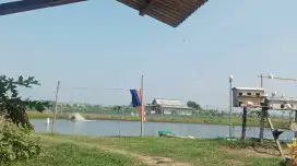 Cari Job ART PP / Bebersih Part time